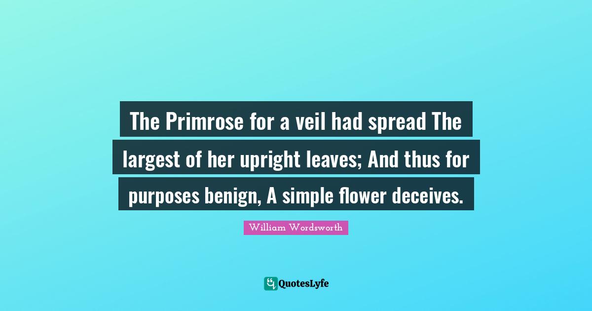 The Primrose for a veil had spread The largest of her upright leaves