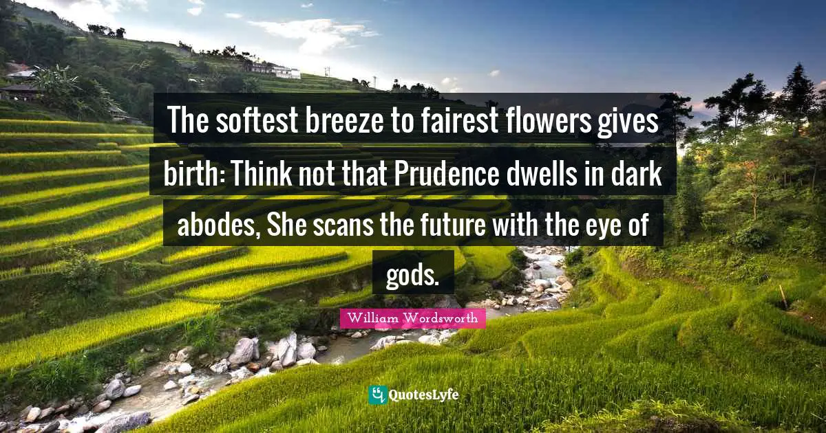The softest breeze to fairest flowers gives birth: Think not that Prudence dwells in dark abodes, She scans the future with the eye of gods.