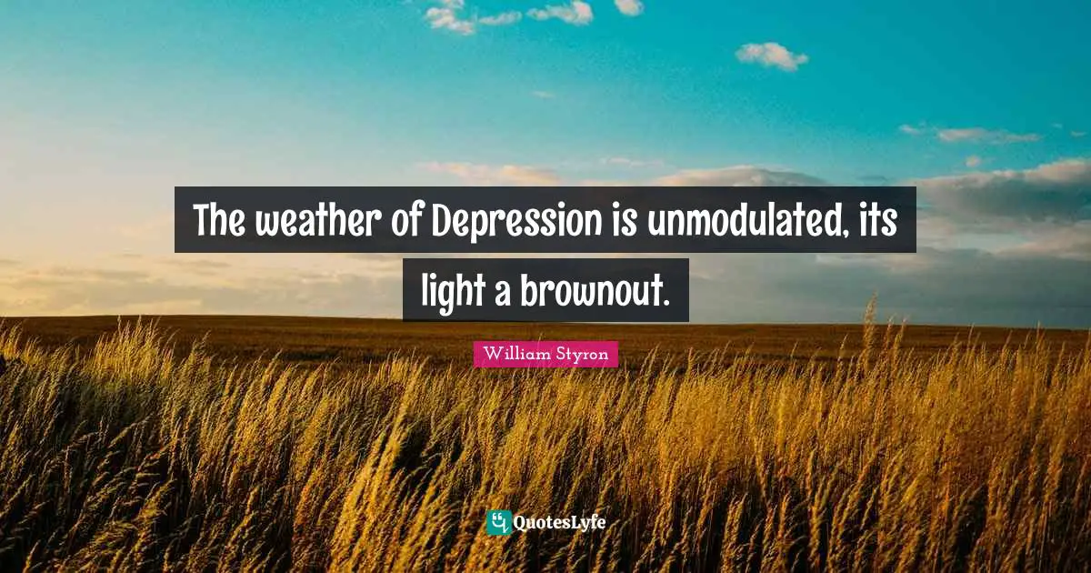 The weather of Depression is unmodulated, its light a brownout.