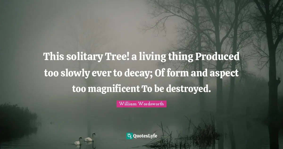 This solitary Tree! a living thing Produced too slowly ever to decay; Of form and aspect too magnificent To be destroyed.