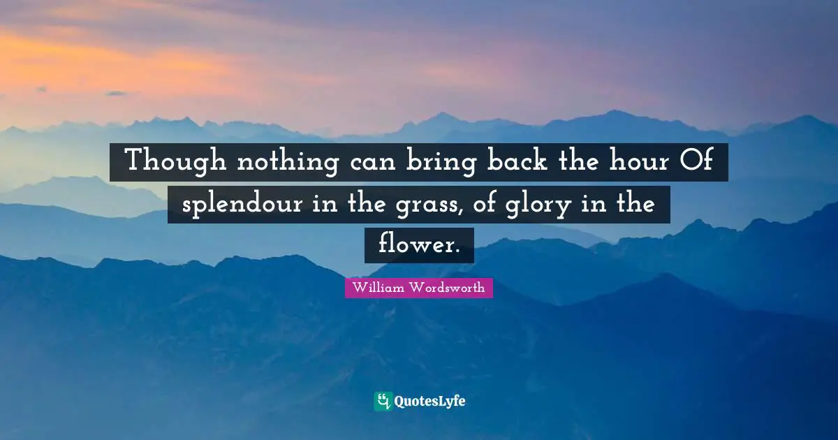 Though nothing can bring back the hour Of splendour in the grass, of glory in the flower.