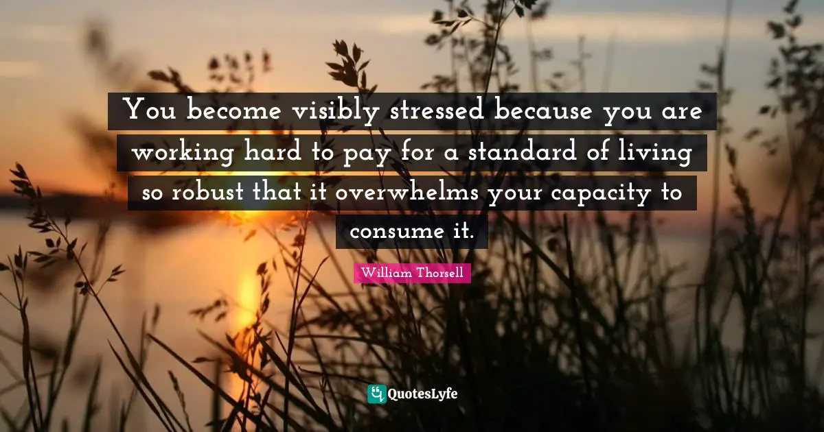 You become visibly stressed because you are working hard to pay for a standard of living so robust that it overwhelms your capacity to consume it.