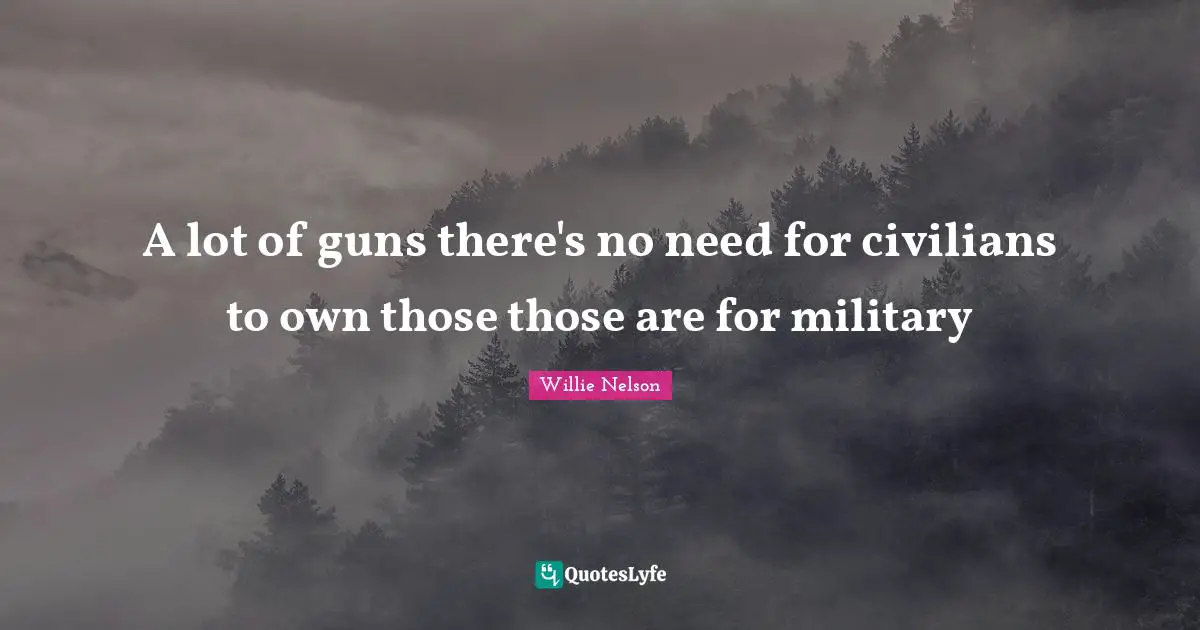 A lot of guns there's no need for civilians to own those those are for military