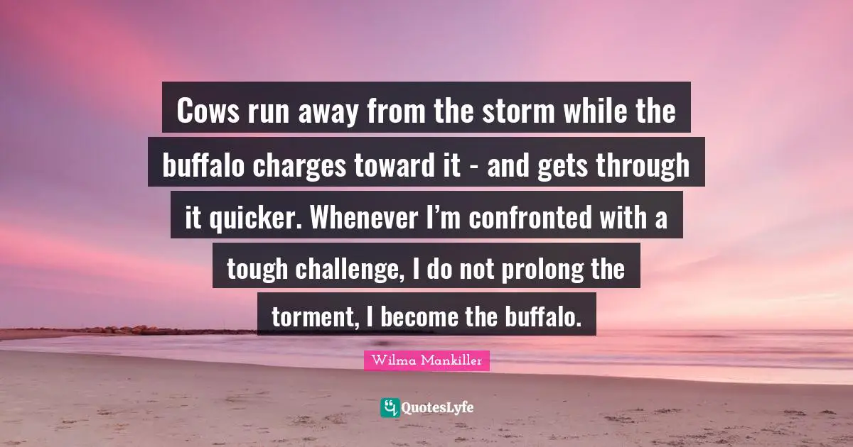 American Quotes: "Cows run away from the storm while the buffalo charges toward it - and gets through it quicker. Whenever I’m confronted with a tough challenge, I do not prolong the torment, I become the buffalo."