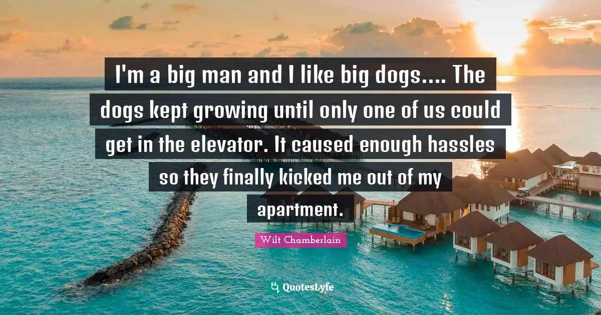 Wilt Chamberlain Quotes: "I'm a big man and I like big dogs.... The dogs kept growing until only one of us could get in the elevator. It caused enough hassles so they finally kicked me out of my apartment."