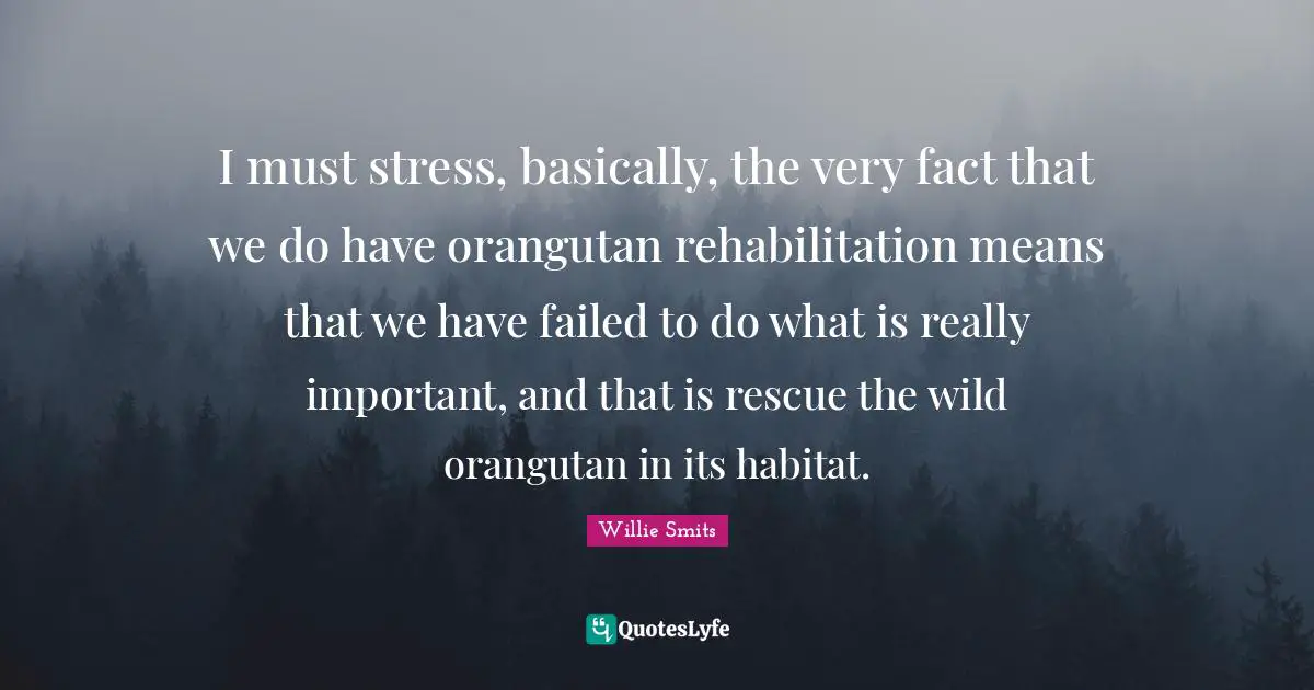 Rehabilitation Quotes: "I must stress, basically, the very fact that we do have orangutan rehabilitation means that we have failed to do what is really important, and that is rescue the wild orangutan in its habitat."