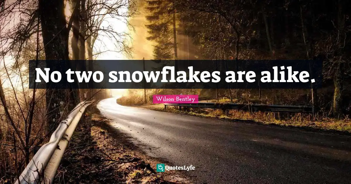 Snowflake Quotes: "No two snowflakes are alike."