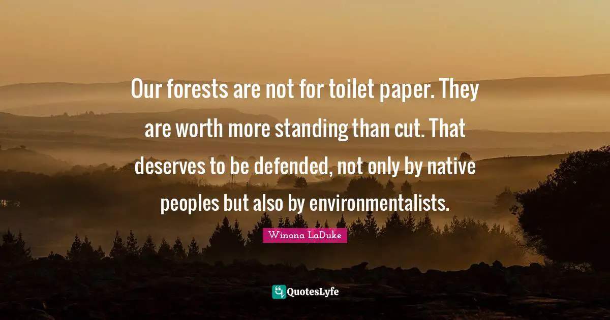 Our forests are not for toilet paper. They are worth more standing than cut. That deserves to be defended, not only by native peoples but also by environmentalists.