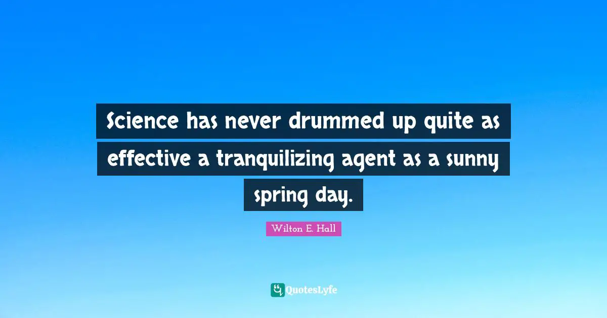 Science has never drummed up quite as effective a tranquilizing agent as a sunny spring day.