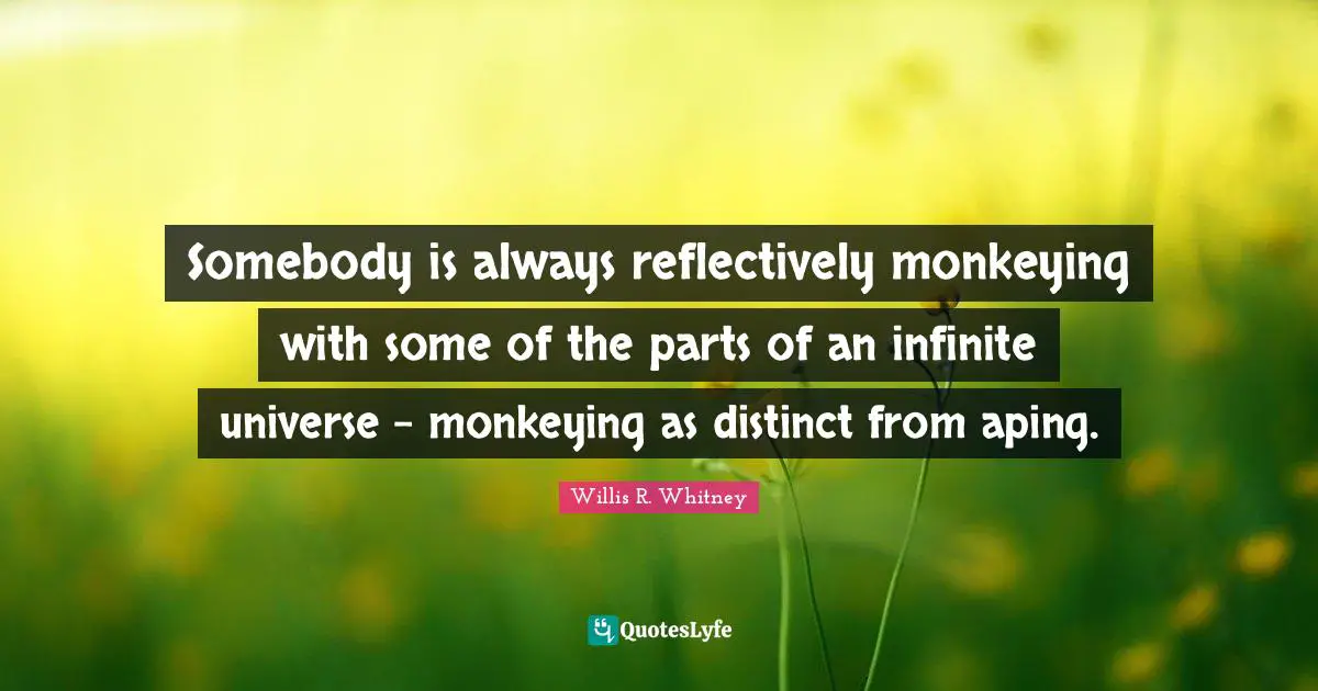 Somebody is always reflectively monkeying with some of the parts of an infinite universe - monkeying as distinct from aping.