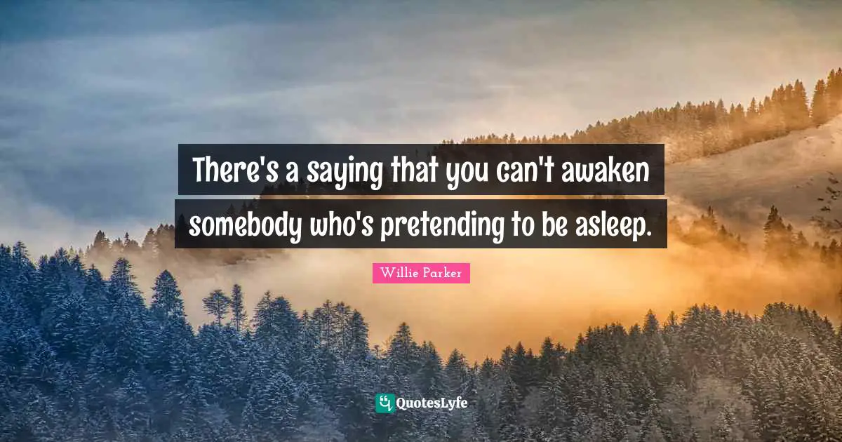 There's a saying that you can't awaken somebody who's pretending to be asleep.