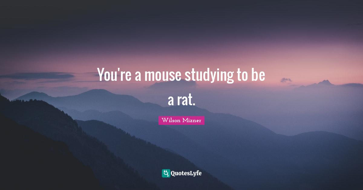 You're a mouse studying to be a rat.