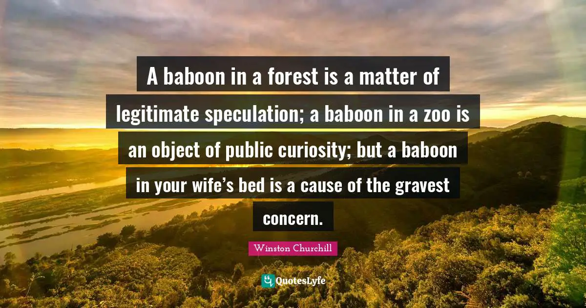 A baboon in a forest is a matter of legitimate speculation; a baboon in a zoo is an object of public curiosity; but a baboon in your wife’s bed is a cause of the gravest concern.