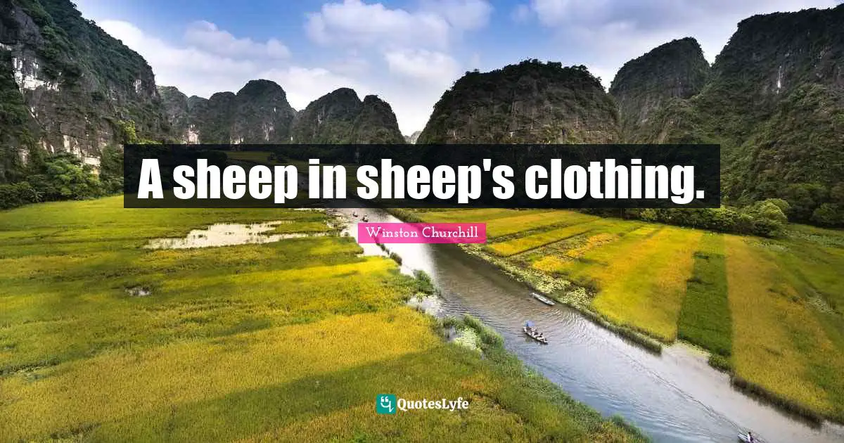 A sheep in sheep's clothing.