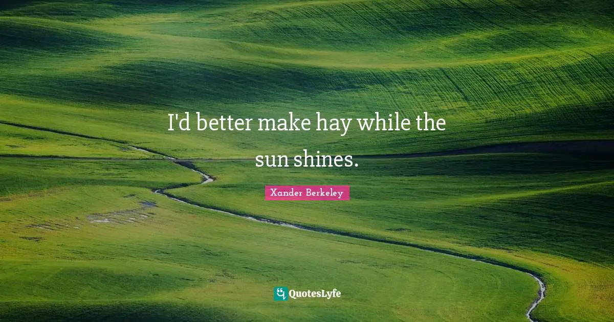 Sun Shines Quotes: "I'd better make hay while the sun shines."