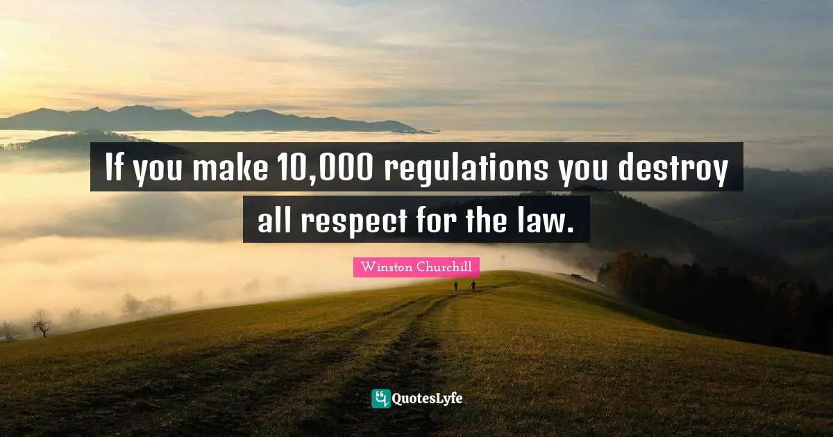 If you make 10,000 regulations you destroy all respect for the law.