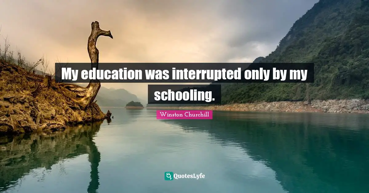 Schooling Quotes: "My education was interrupted only by my schooling."