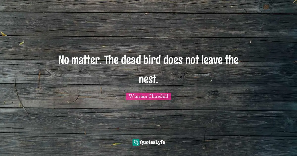 No matter. The dead bird does not leave the nest.