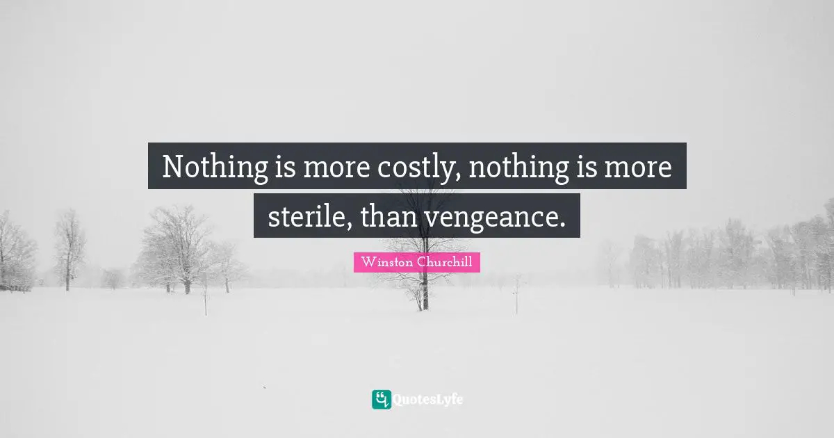 Nothing is more costly, nothing is more sterile, than vengeance.