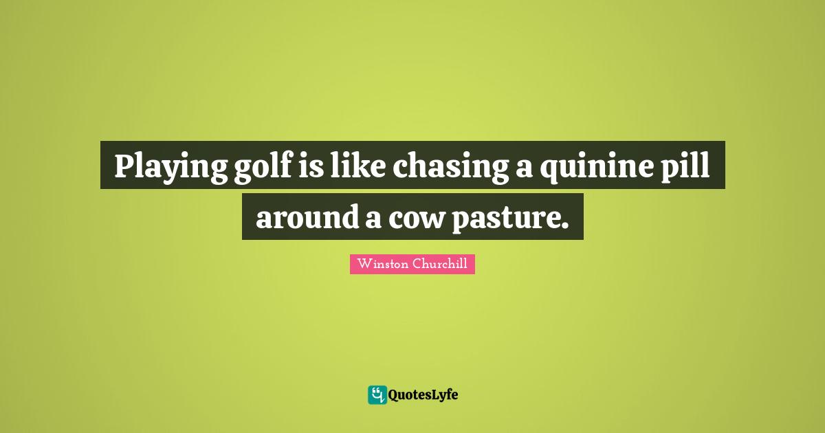 Playing golf is like chasing a quinine pill around a cow pasture.