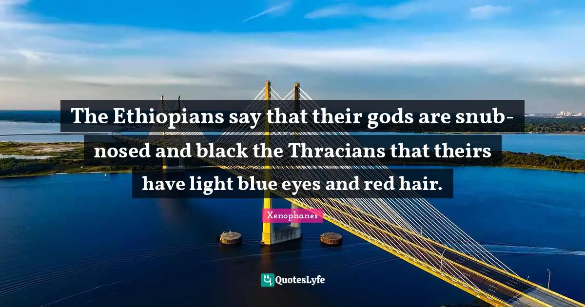 The Ethiopians say that their gods are snub-nosed and black the Thracians that theirs have light blue eyes and red hair.