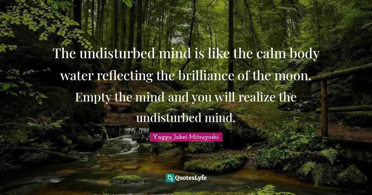 Reflecting Quotes: "The undisturbed mind is like the calm body water reflecting the brilliance of the moon. Empty the mind and you will realize the undisturbed mind."