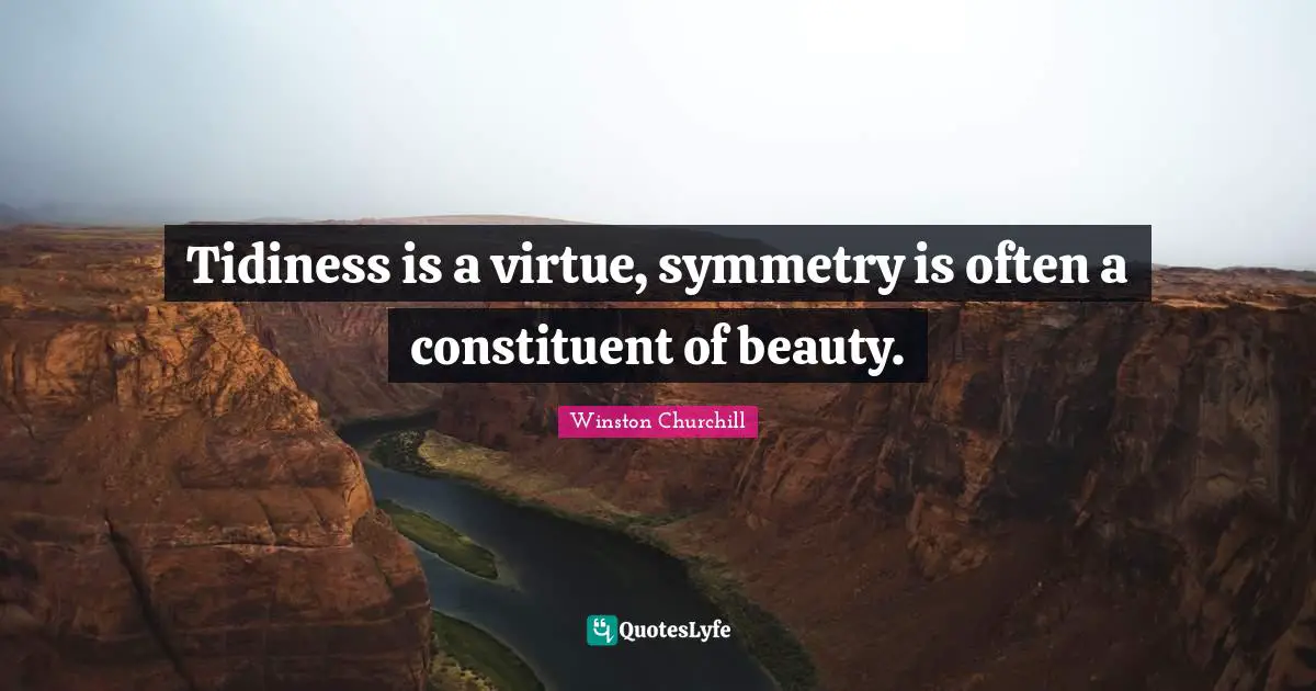 Philosophy Quotes: "Tidiness is a virtue, symmetry is often a constituent of beauty."