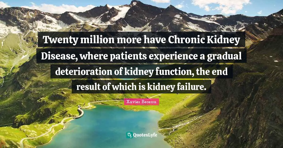Function Quotes: "Twenty million more have Chronic Kidney Disease, where patients experience a gradual deterioration of kidney function, the end result of which is kidney failure."