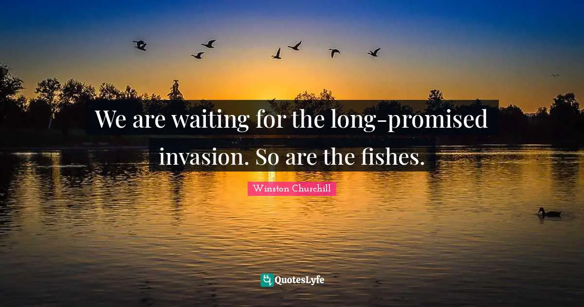 We are waiting for the long-promised invasion. So are the fishes.