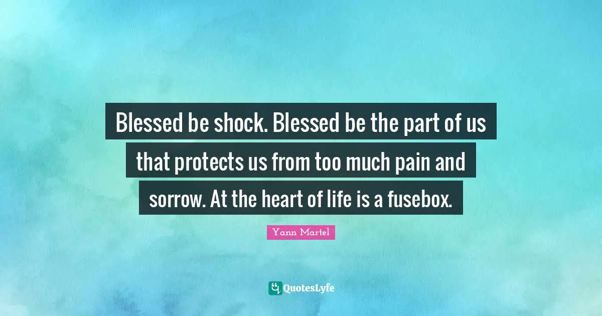 Blessed be shock. Blessed be the part of us that protects us from too much pain and sorrow. At the heart of life is a fusebox.