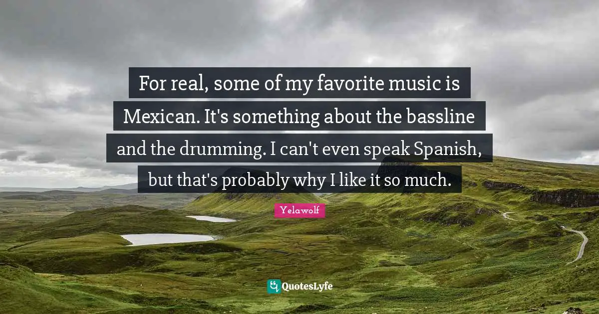 Yelawolf Quotes: "For real, some of my favorite music is Mexican. It's something about the bassline and the drumming. I can't even speak Spanish, but that's probably why I like it so much."