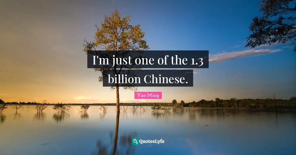I'm just one of the 1.3 billion Chinese.