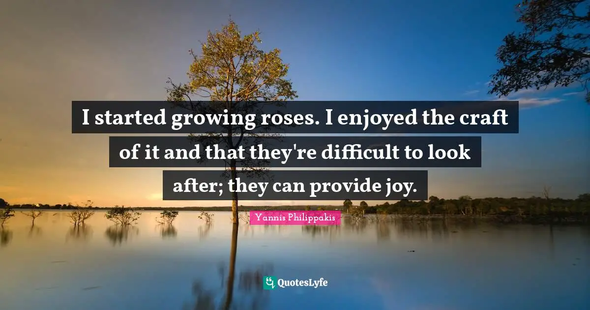 I started growing roses. I enjoyed the craft of it and that they're difficult to look after; they can provide joy.