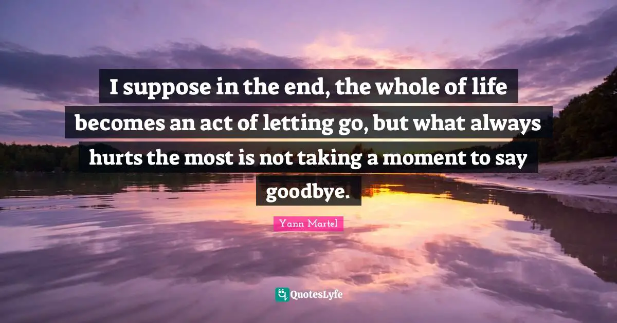 I suppose in the end, the whole of life becomes an act of letting go, but what always hurts the most is not taking a moment to say goodbye.
