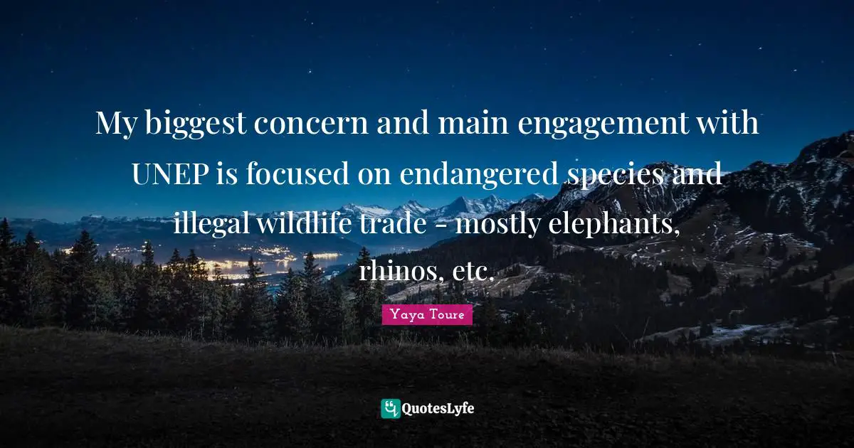 My biggest concern and main engagement with UNEP is focused on endangered species and illegal wildlife trade - mostly elephants, rhinos, etc.