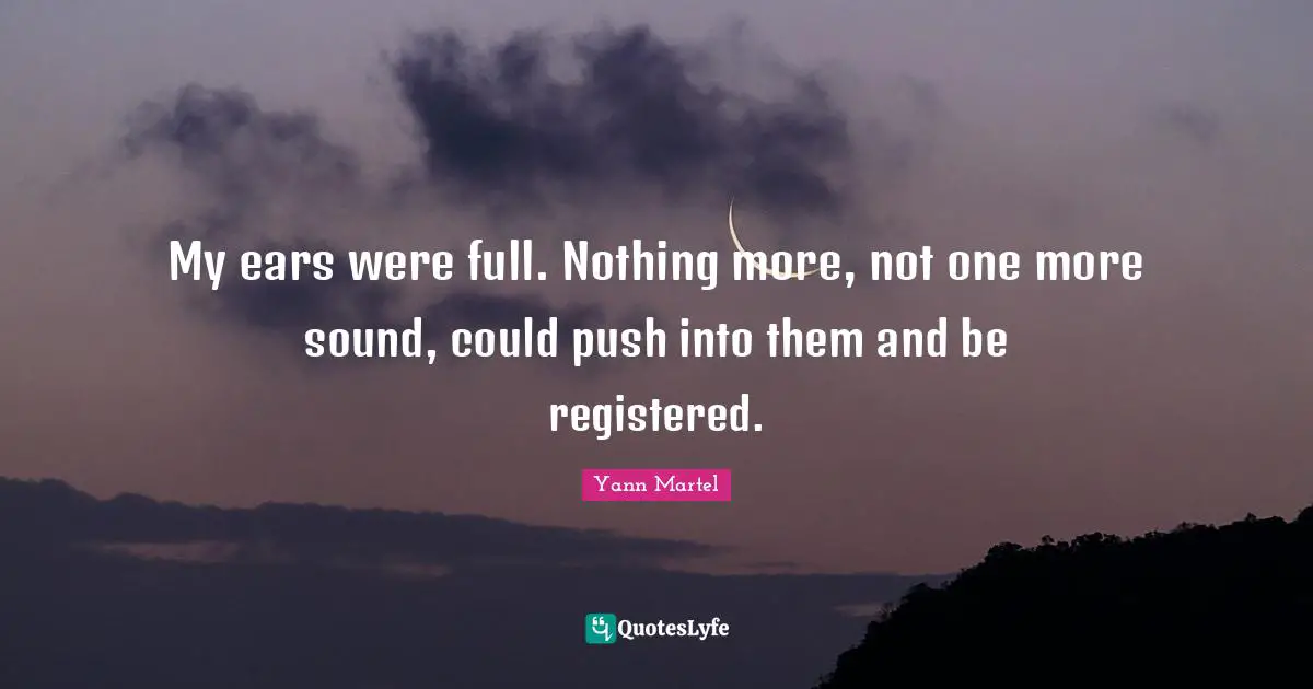 My ears were full. Nothing more, not one more sound, could push into them and be registered.