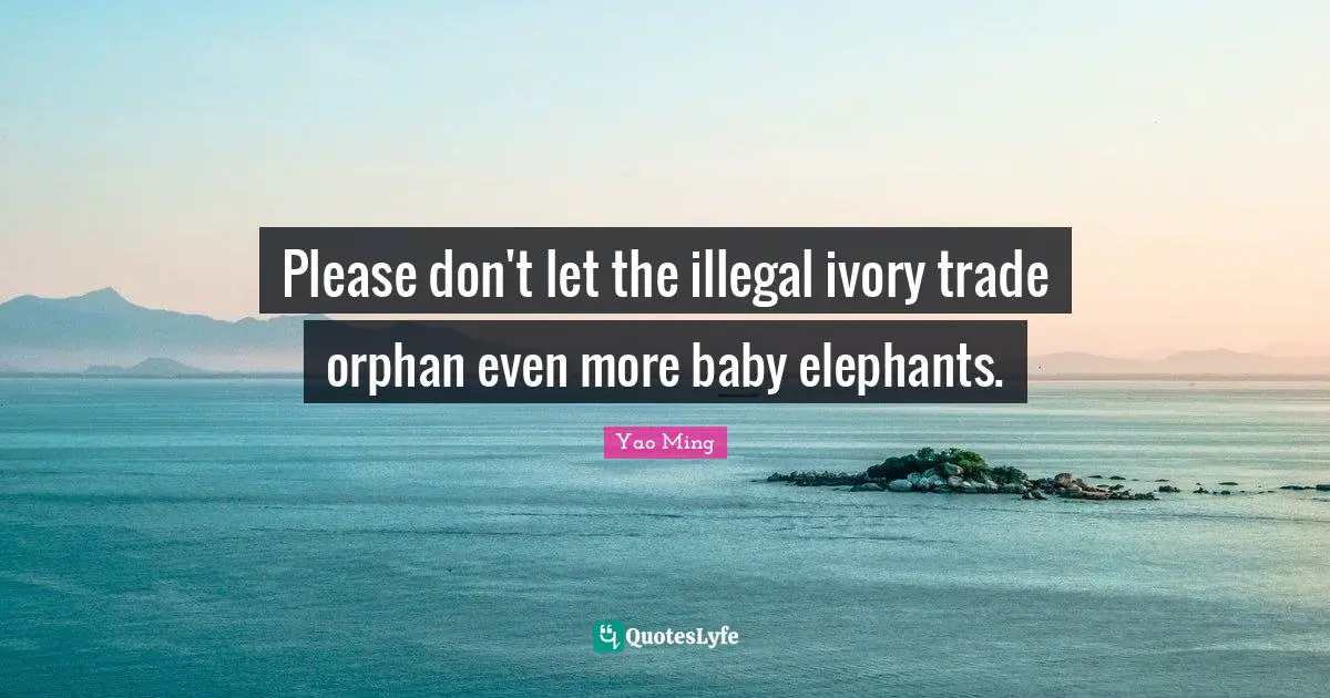 Elephants Quotes: "Please don't let the illegal ivory trade orphan even more baby elephants."