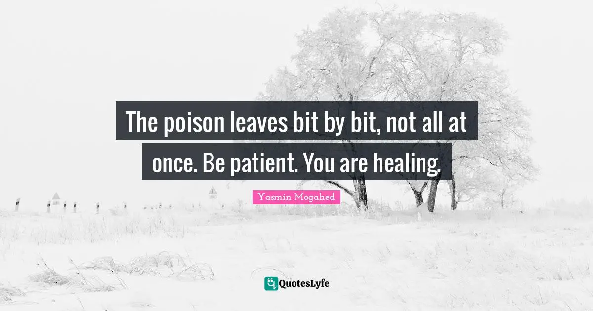 The poison leaves bit by bit, not all at once. Be patient. You are healing.