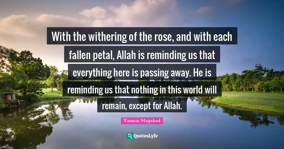 Rose Quotes: "With the withering of the rose, and with each fallen petal, Allah is reminding us that everything here is passing away. He is reminding us that nothing in this world will remain, except for Allah."