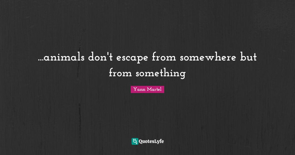 ...animals don't escape from somewhere but from something