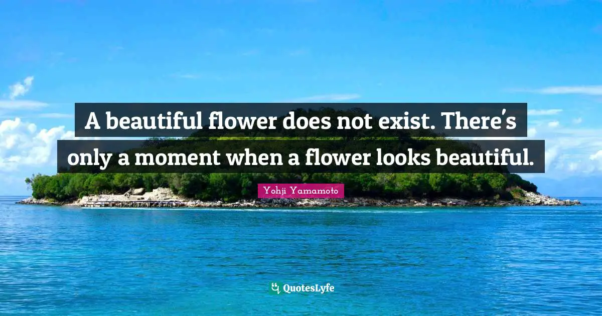 A beautiful flower does not exist. There's only a moment when a flower looks beautiful.