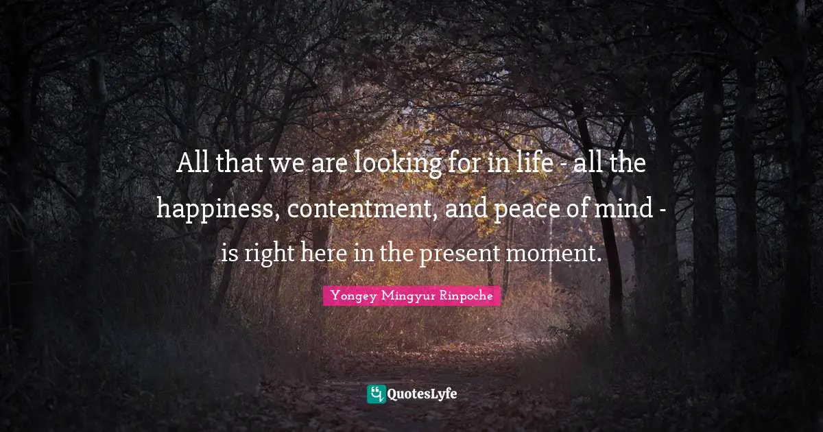 All that we are looking for in life - all the happiness, contentment, and peace of mind - is right here in the present moment.