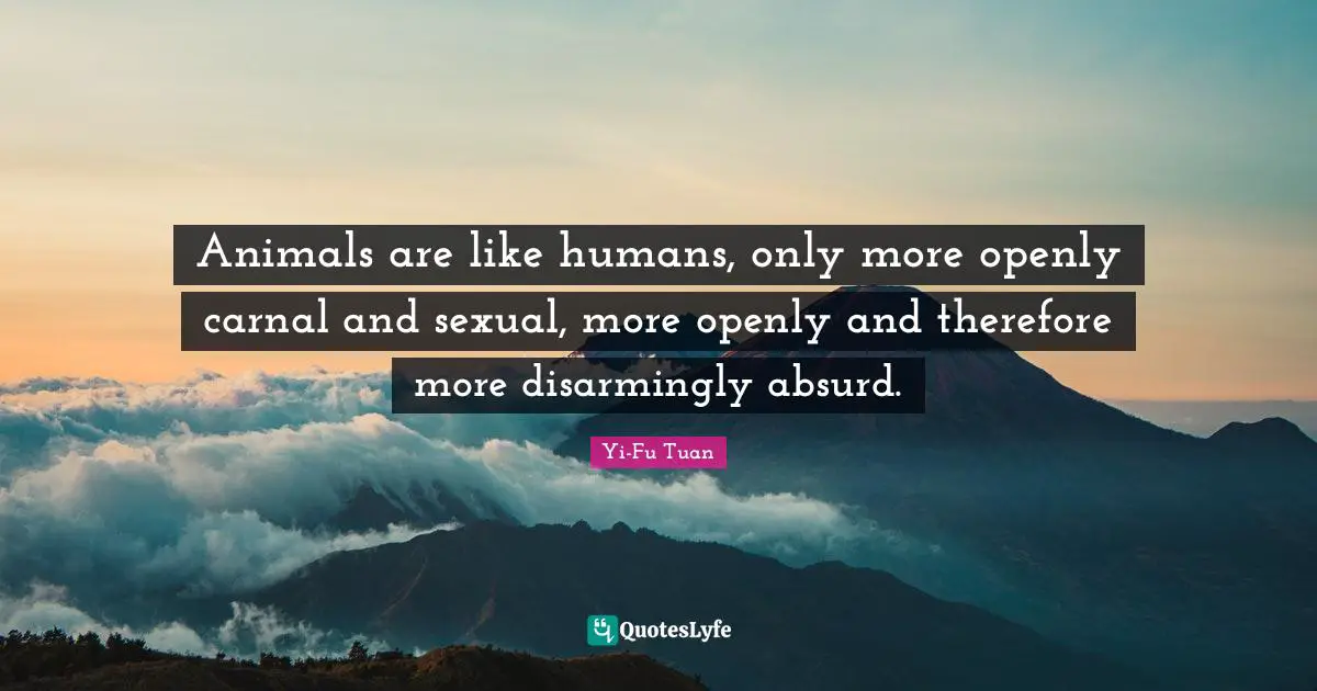 Animals are like humans, only more openly carnal and sexual, more openly and therefore more disarmingly absurd.