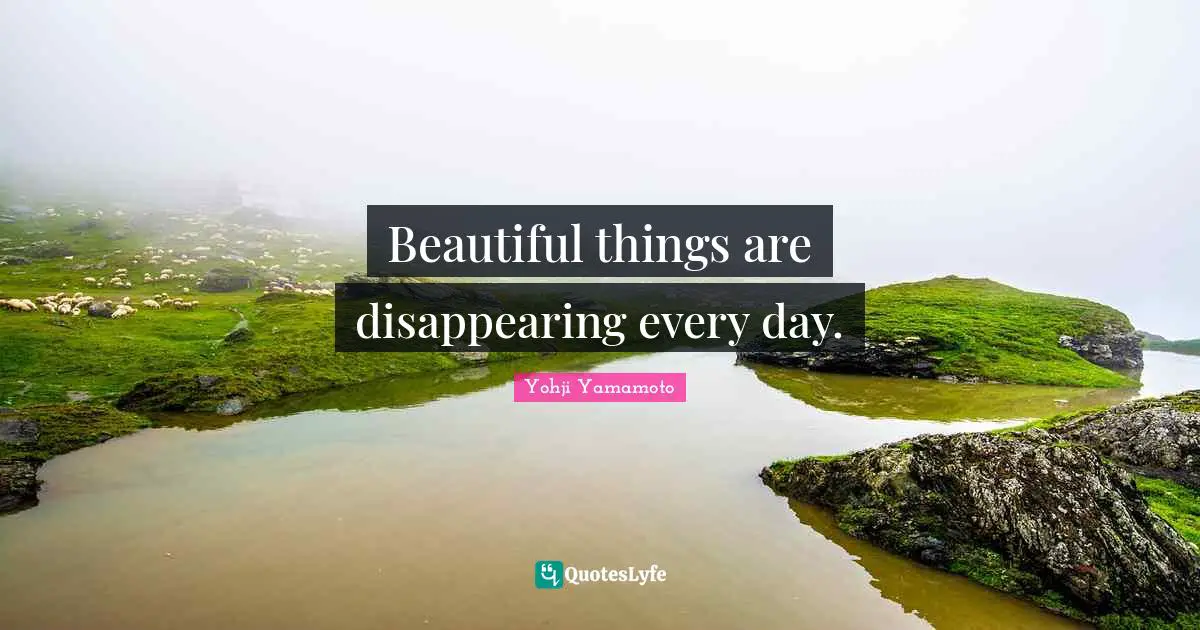 Beautiful Things Quotes: "Beautiful things are disappearing every day."