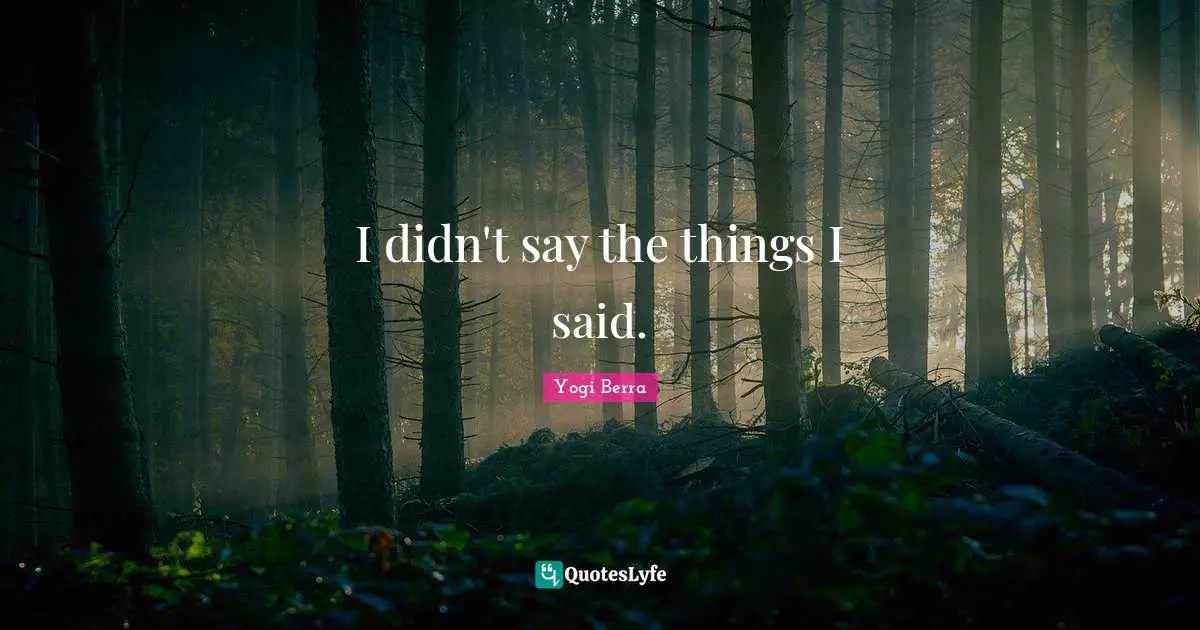 I didn't say the things I said.