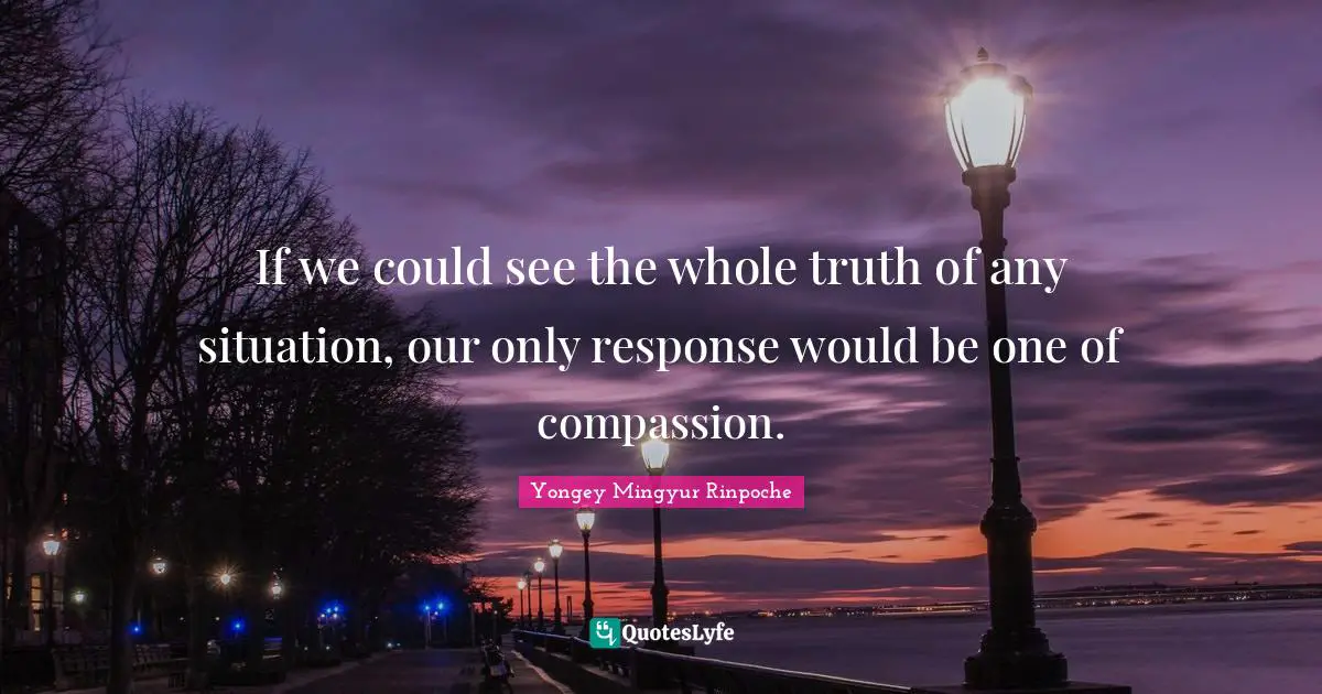 If we could see the whole truth of any situation, our only response would be one of compassion.