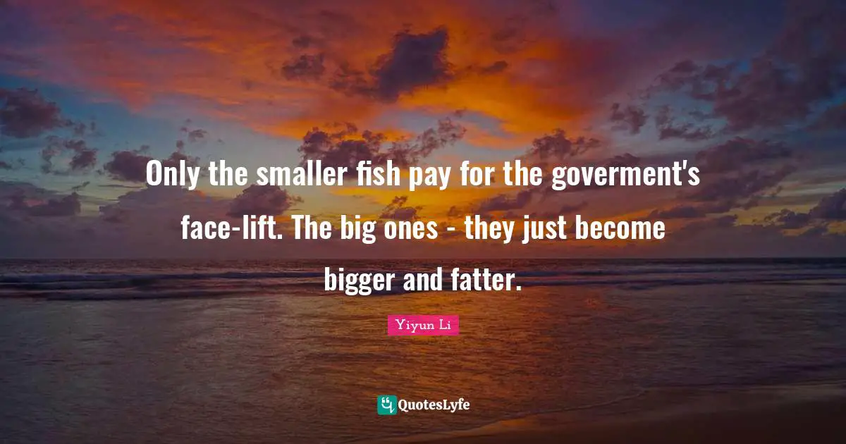 Only the smaller fish pay for the goverment's face-lift. The big ones - they just become bigger and fatter.