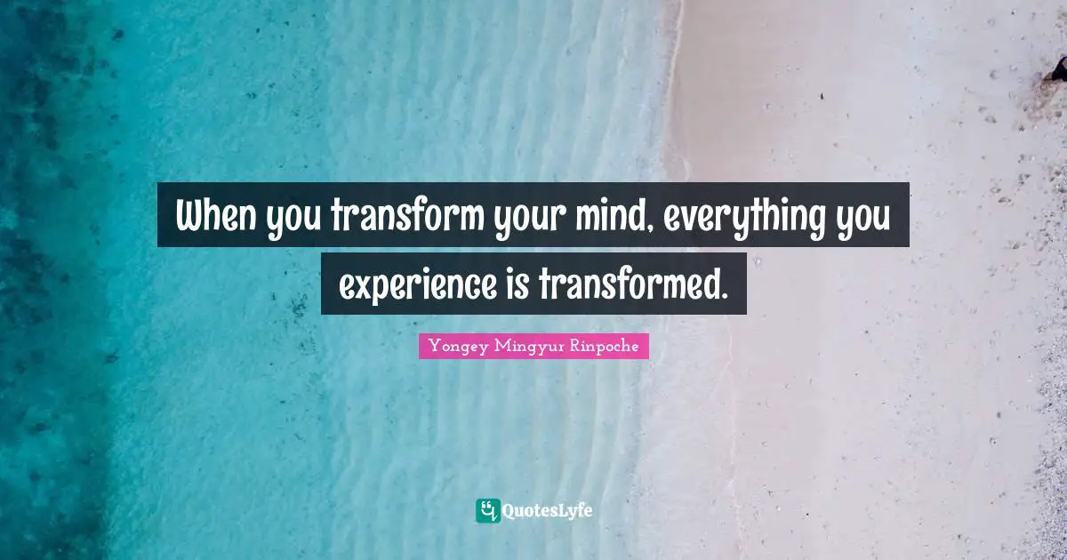 When you transform your mind, everything you experience is transformed.