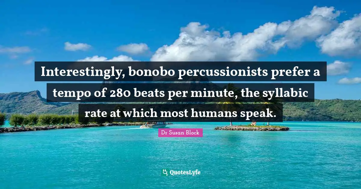Interestingly, bonobo percussionists prefer a tempo of 280 beats per minute, the syllabic rate at which most humans speak.