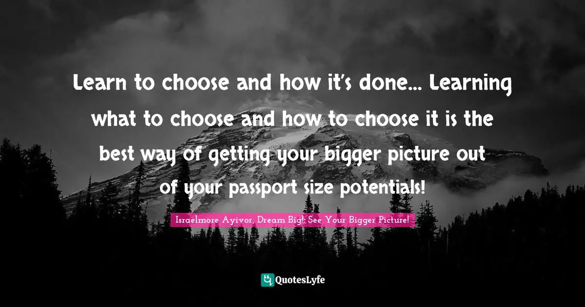 Bigger Picture Quotes: "Learn to choose and how it’s done… Learning what to choose and how to choose it is the best way of getting your bigger picture out of your passport size potentials!"